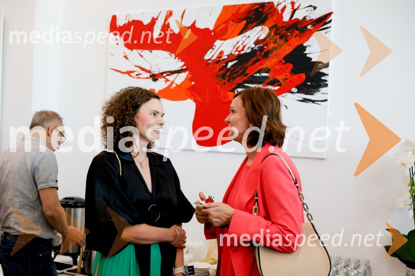 Konferenca Tea with reason: Small Modular Reactors