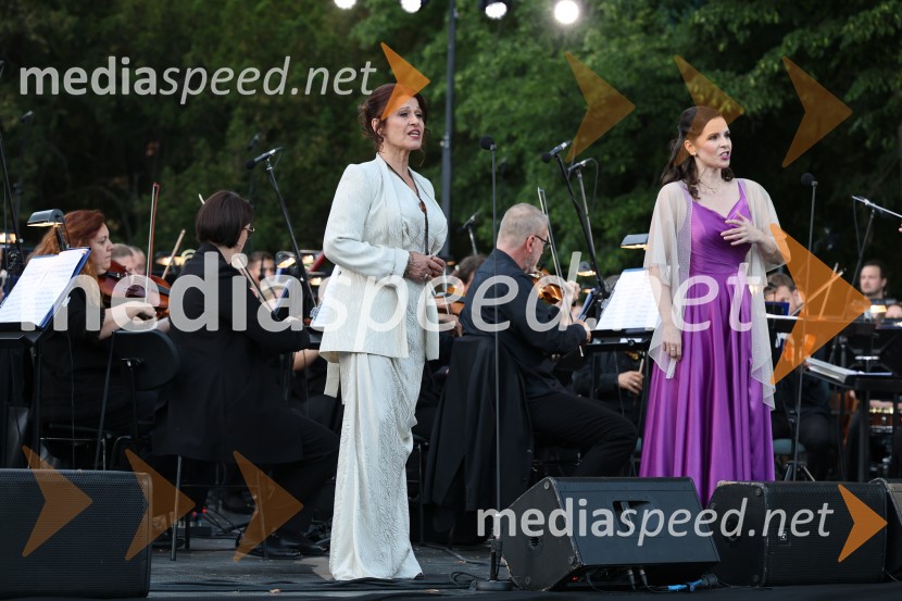 11. Operna noč v Mestnem parku