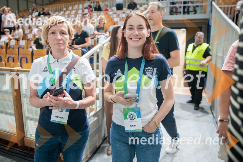 Tine Urnaut, dobrodelni odbojkarski dan