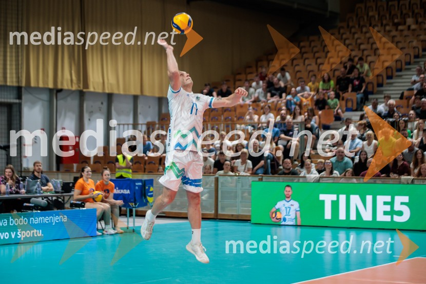 Tine Urnaut, dobrodelni odbojkarski dan