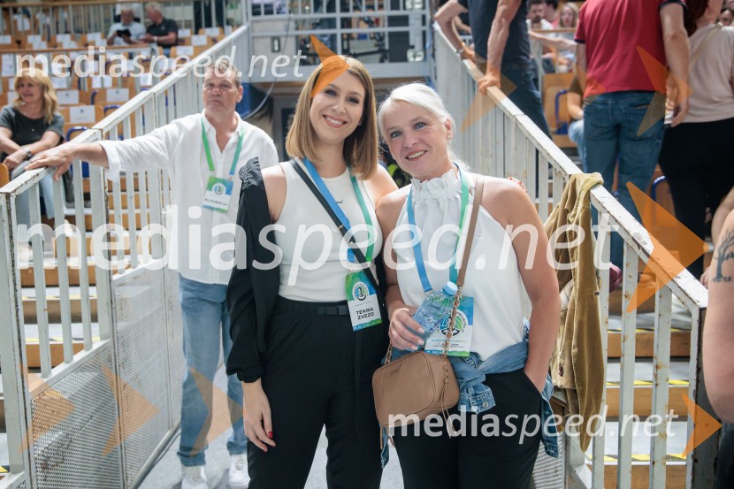 Tine Urnaut, dobrodelni odbojkarski dan