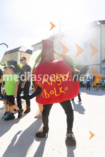 9. Afroditin tek s Štajerskim valom