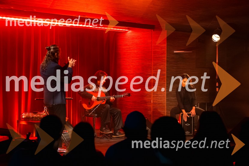 Jorge Pardo Trio, Cikel Noches de tablao