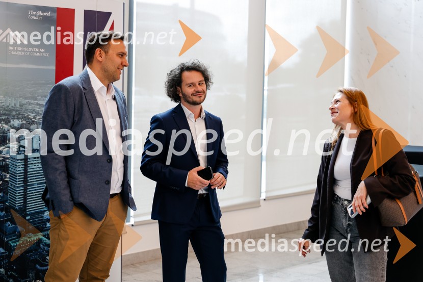 Posvet: Zdravo staranje in pomen imunizacije starejših, BSCC