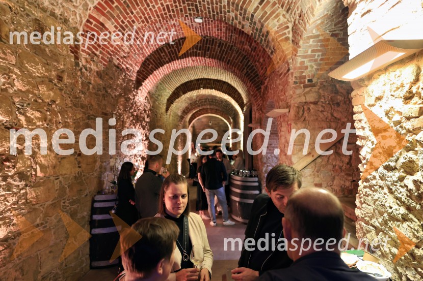 TrojicaFest 2026 Županov sprejem