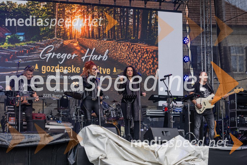 Trojica Fest 2026, nedelja