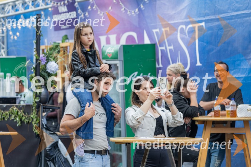 Trojica Fest 2026, nedelja