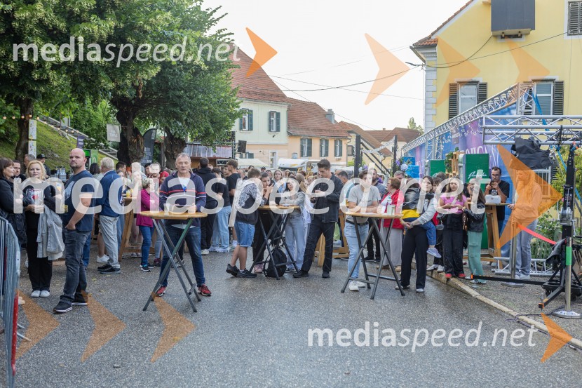 Trojica Fest 2026, nedelja
