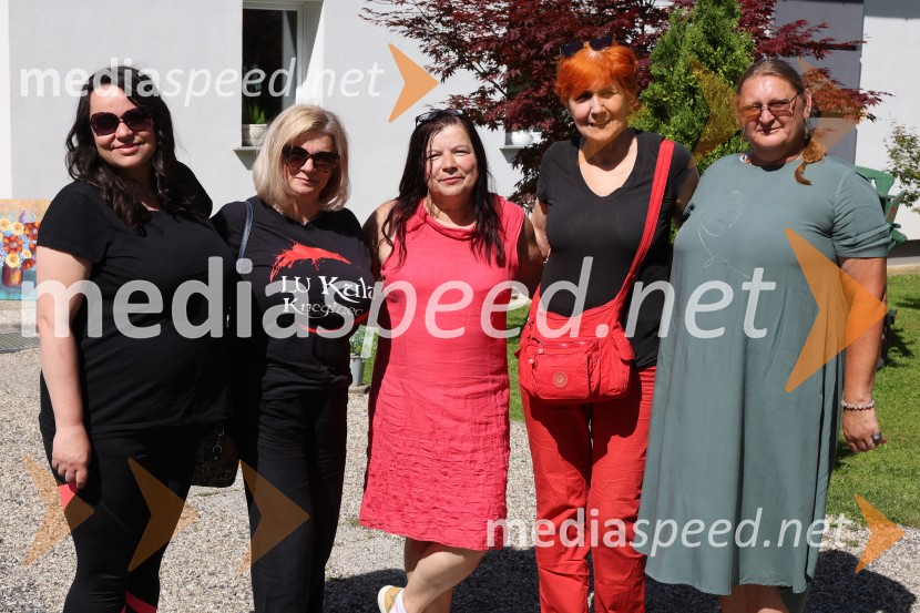 Mednarodna kolonija v novi Galeriji AS, Svečane