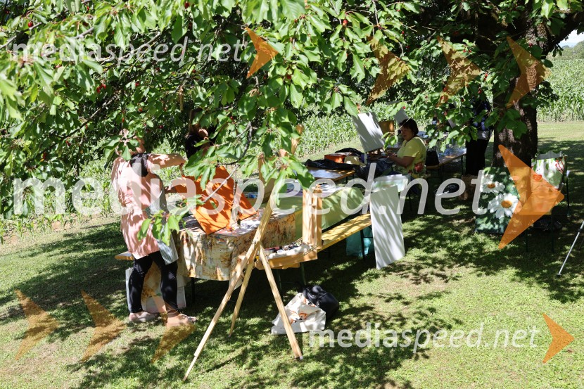 Mednarodna kolonija v novi Galeriji AS, Svečane