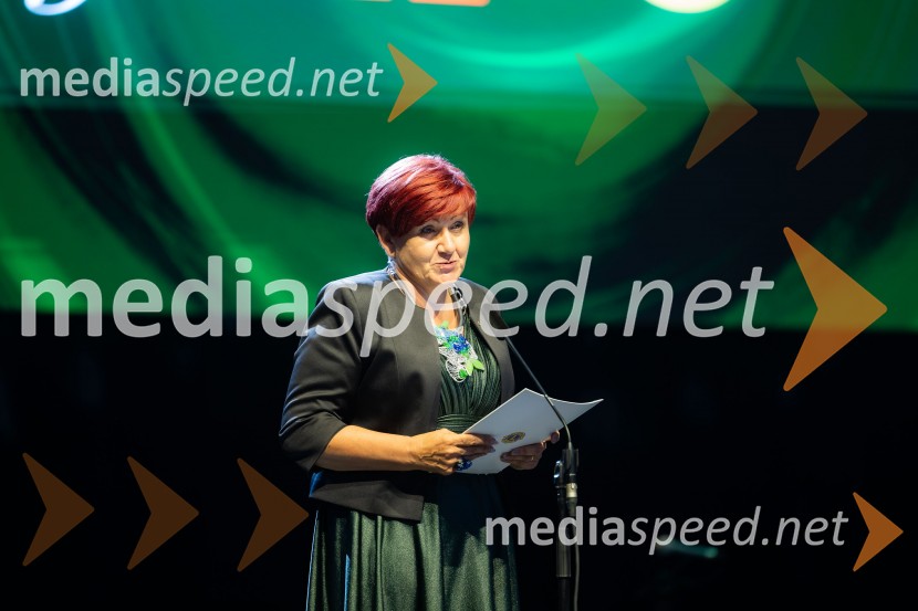  Marja Dolamič, predsednica 3. cone 2. regije Lions kluba26. Kresna noč Lions kluba Ljubljana Iliria