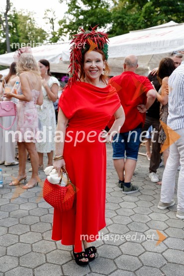 Lady piknik pod klobuki 2026