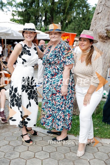 Lady piknik pod klobuki 2026