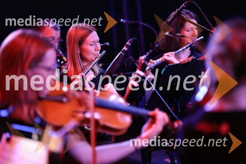 Veliki koncert Cityband 2026, Citycenter Celje
