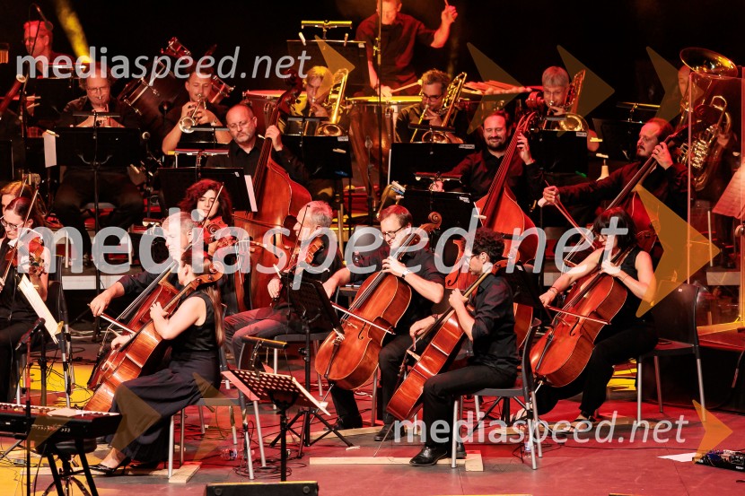 Neisha, Festival Ljubljana 2026