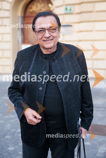  Oto Pestner, pevecPoletna noč, 74. Ljubljana Festival