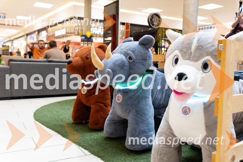 Poletna aktivacija, Citycenter Celje
