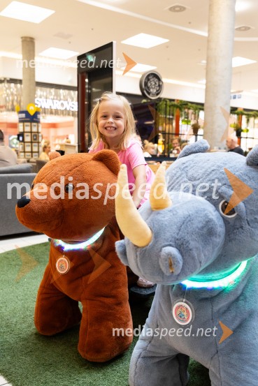 Poletna aktivacija, Citycenter Celje