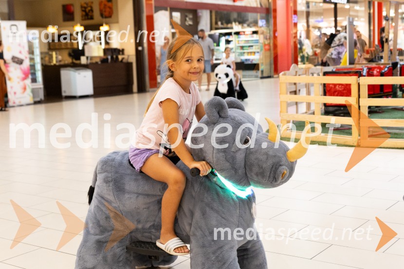 Poletna aktivacija, Citycenter Celje