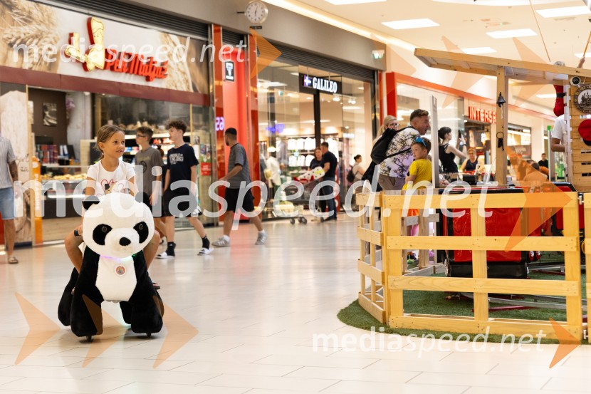 Poletna aktivacija, Citycenter Celje