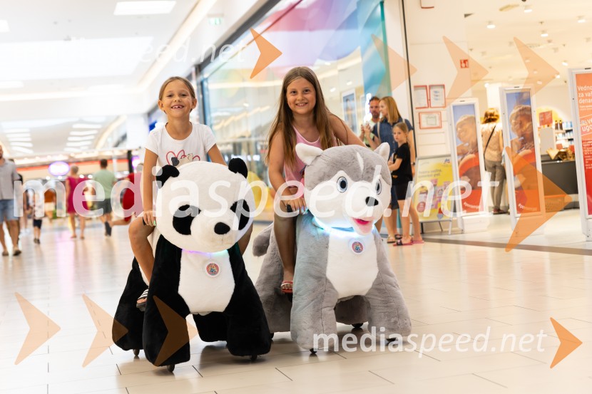 Poletna aktivacija, Citycenter Celje