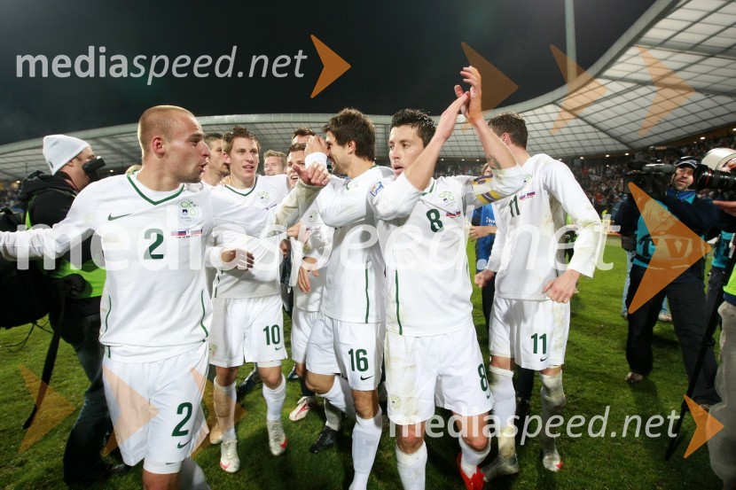 Slavje članov slovenske nogometne reprezentanceSlovenija - Rusija, nova nogometna pravljica na Ljudskem vrtu
