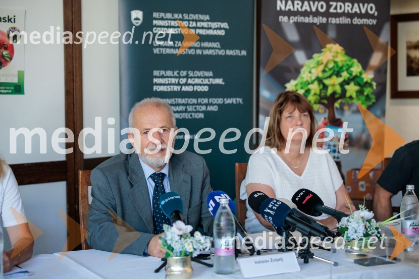 Japonski hrošč: strokovnjaki predstavili ključne ukrepe za zaščito slovenskih rastlin