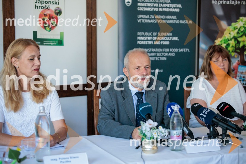 Japonski hrošč: strokovnjaki predstavili ključne ukrepe za zaščito slovenskih rastlin