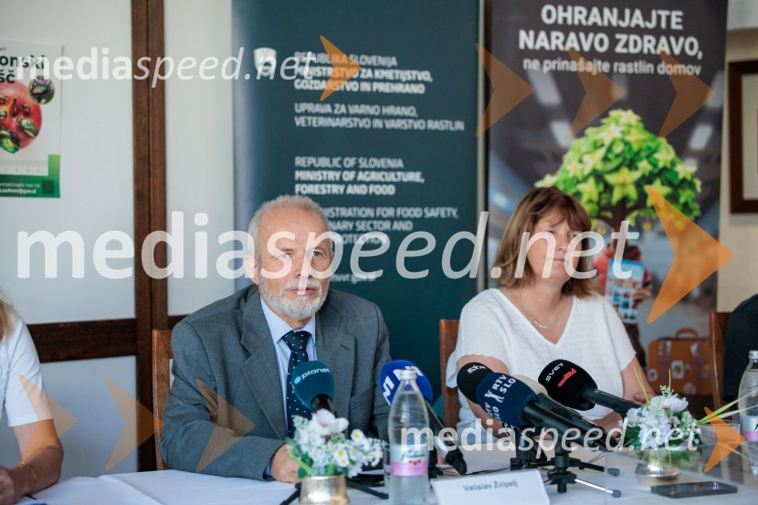 Japonski hrošč: strokovnjaki predstavili ključne ukrepe za zaščito slovenskih rastlin
