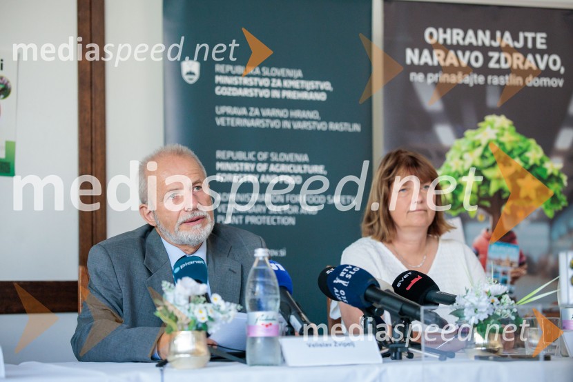 Japonski hrošč: strokovnjaki predstavili ključne ukrepe za zaščito slovenskih rastlin
