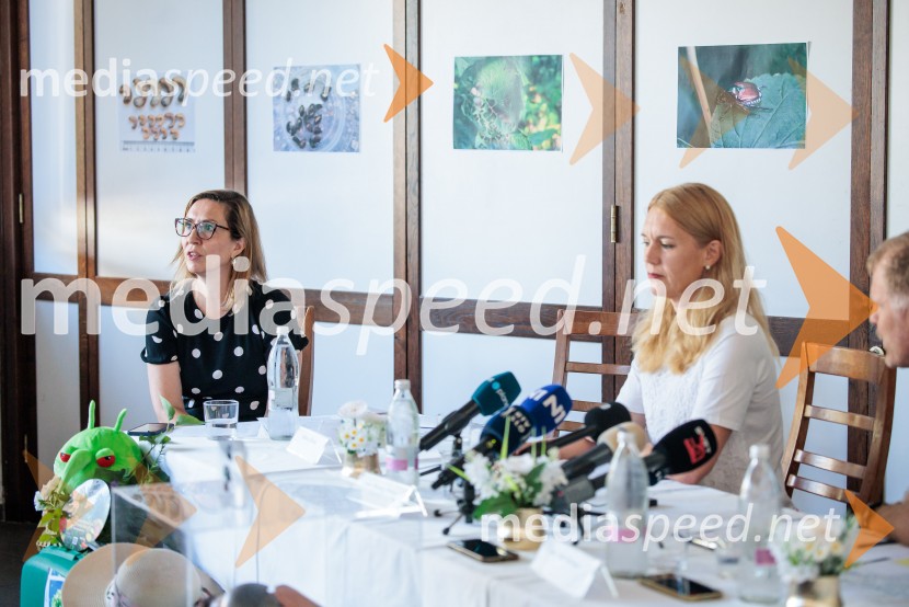 Japonski hrošč: strokovnjaki predstavili ključne ukrepe za zaščito slovenskih rastlin