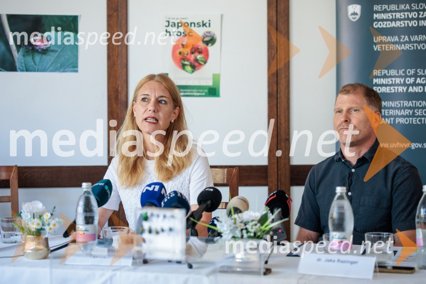 Japonski hrošč: strokovnjaki predstavili ključne ukrepe za zaščito slovenskih rastlin