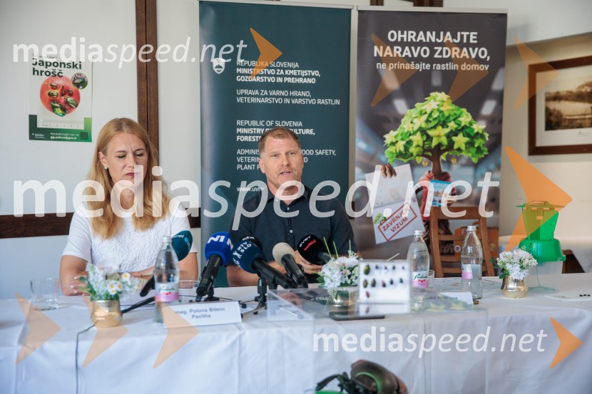 Japonski hrošč: strokovnjaki predstavili ključne ukrepe za zaščito slovenskih rastlin