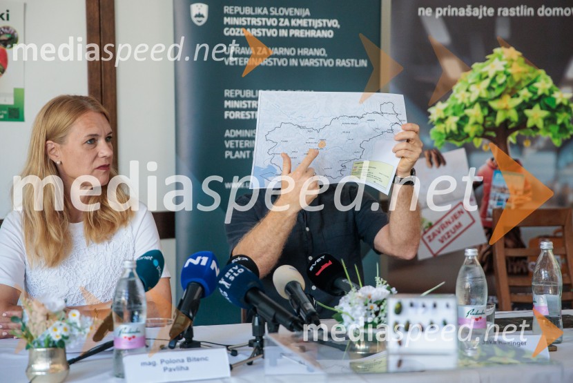 Japonski hrošč: strokovnjaki predstavili ključne ukrepe za zaščito slovenskih rastlin