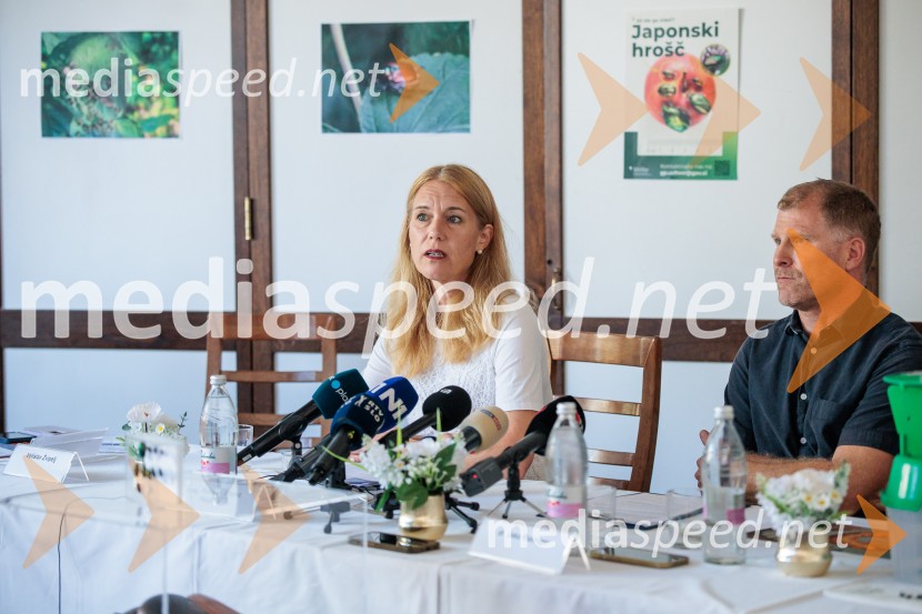 Japonski hrošč: strokovnjaki predstavili ključne ukrepe za zaščito slovenskih rastlin