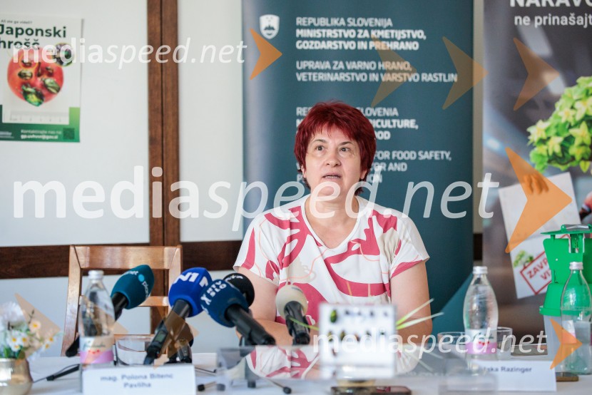 Japonski hrošč: strokovnjaki predstavili ključne ukrepe za zaščito slovenskih rastlin