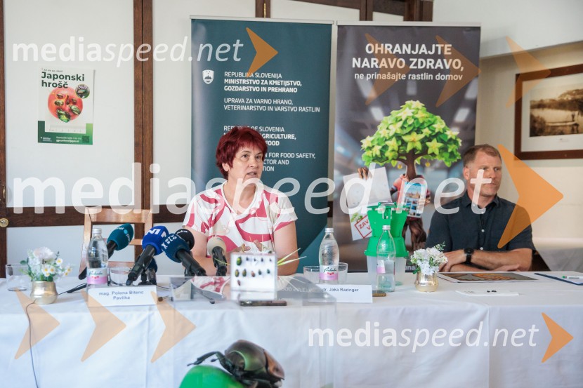 Japonski hrošč: strokovnjaki predstavili ključne ukrepe za zaščito slovenskih rastlin