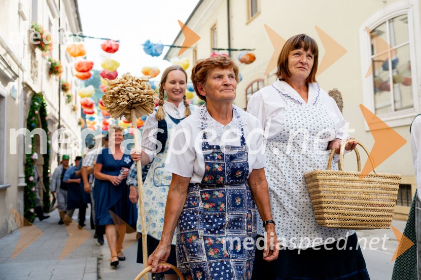 Pivo in cvetje 2026, petek