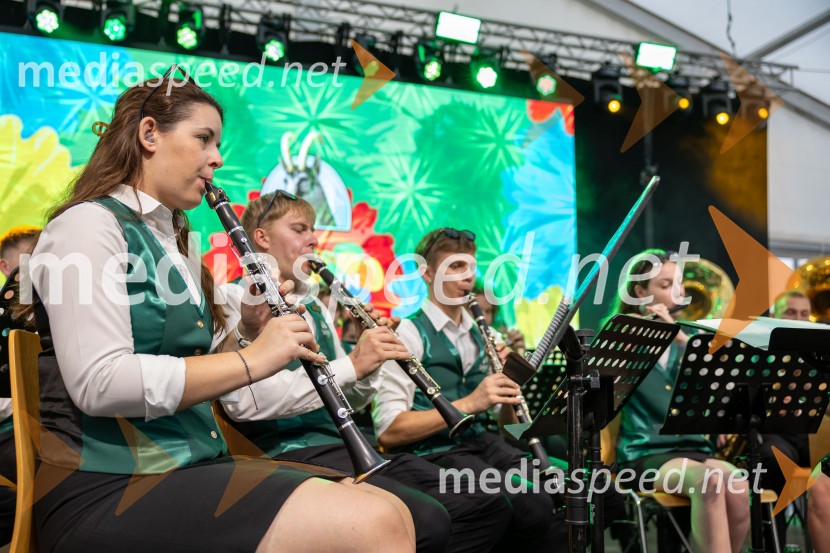 Pivo in cvetje 2026, nedelja