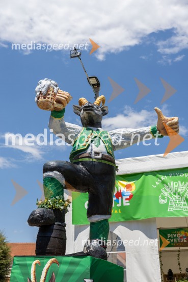 Pivo in cvetje 2026, nedelja