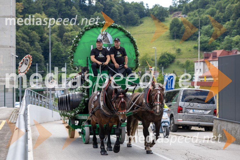 Pivo in cvetje 2026, nedelja