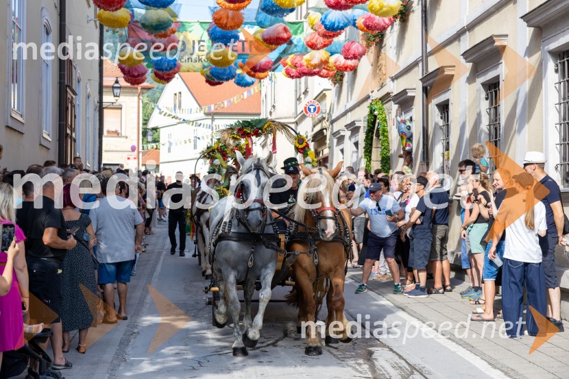 Pivo in cvetje 2026, nedelja
