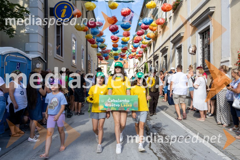 Pivo in cvetje 2026, nedelja
