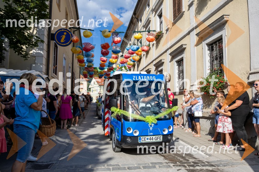 Pivo in cvetje 2026, nedelja