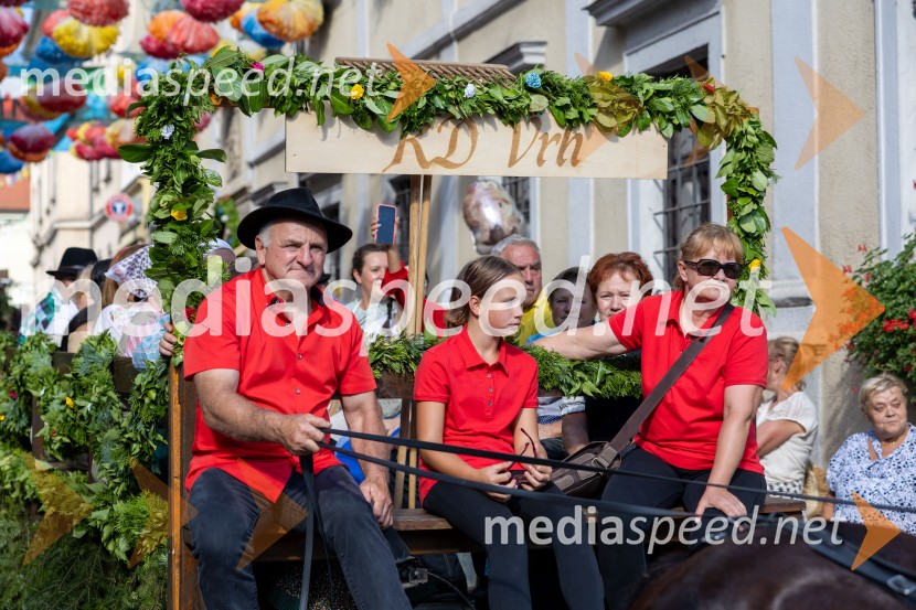 Pivo in cvetje 2026, nedelja