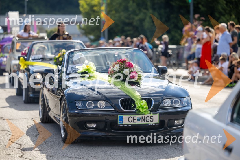 Pivo in cvetje 2026, nedelja