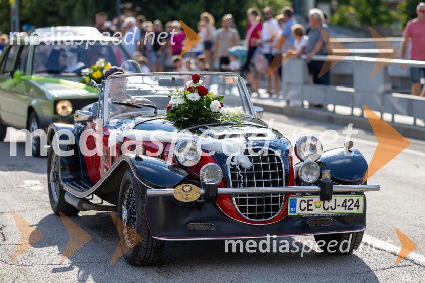 Pivo in cvetje 2026, nedelja