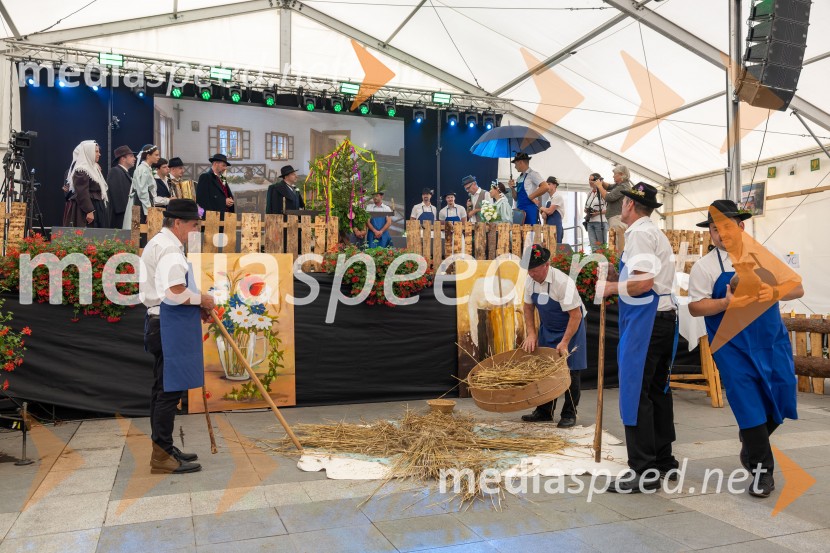 Pivo in cvetje 2026, nedelja