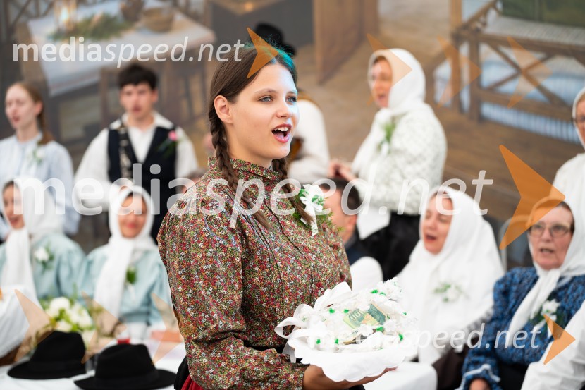 Pivo in cvetje 2026, nedelja