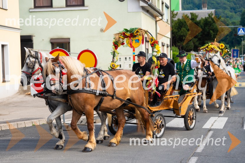Pivo in cvetje 2026, nedelja